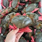 Cua thịt 3 con/kg