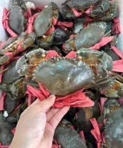 Cua thịt 3 con/kg