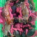 Cua gạch 2 con/kg