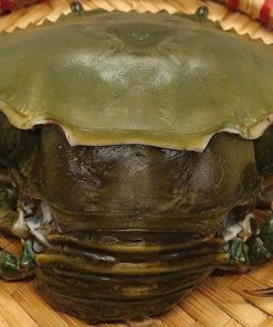 Cua 2 da ( cua cốm )